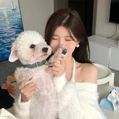 乡村爱情13封面